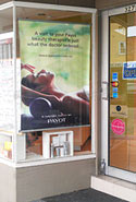 window displays