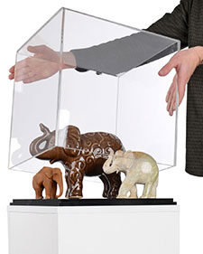 Pedestal Showcase