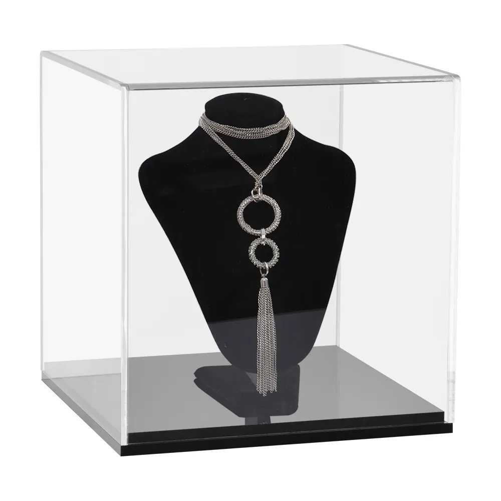 Model Display Case