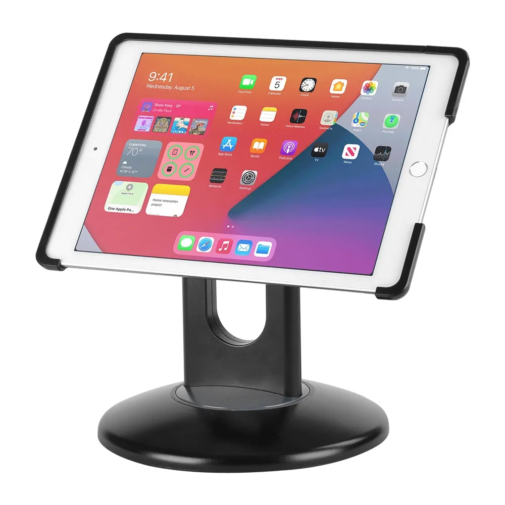 iPad Mount