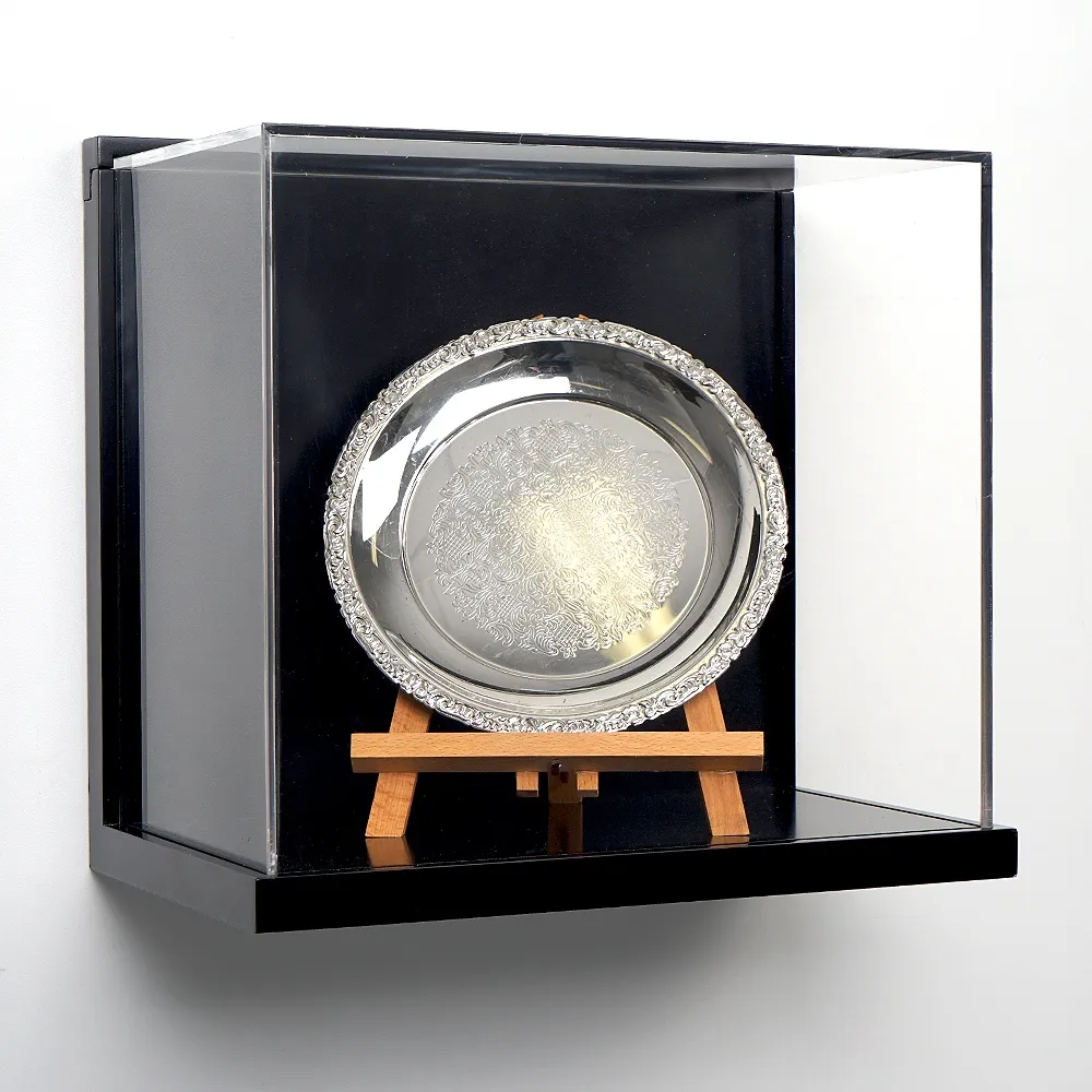 Acrylic Display Case Wall Hanging
