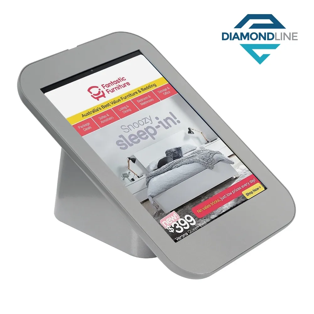 Mount for iPad